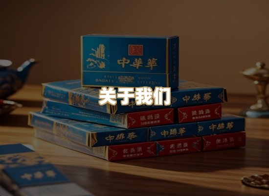 关于蓝帝网